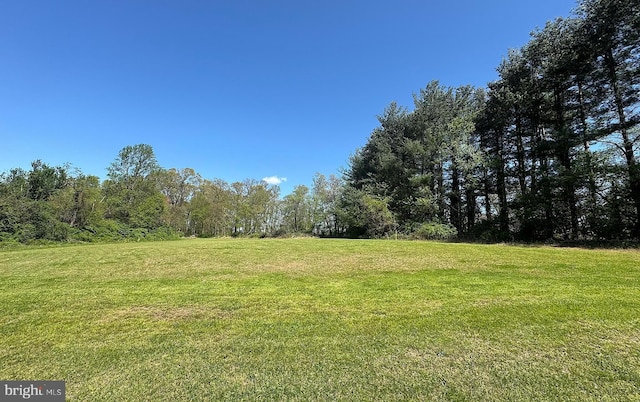3516 Prospect Road, St, MD 21154 - view of grassy yard