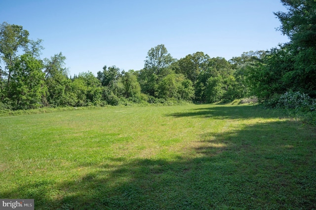 3516 Prospect Road, St, MD 21154 - view of grassy yard with a forest view