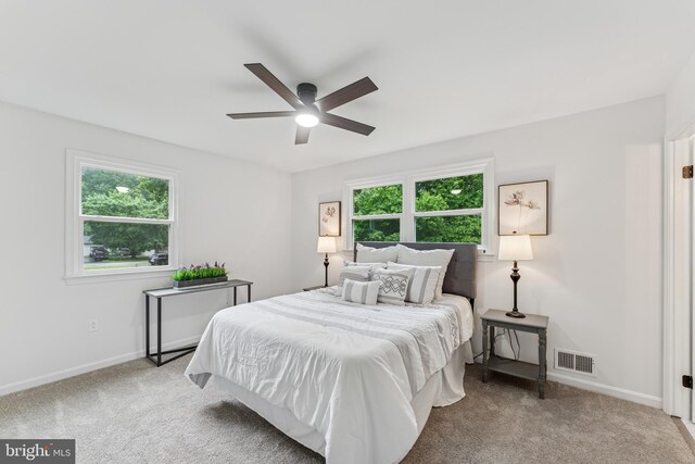 39743 Daniel Cir, Mechanicsville, MD 20659 - carpeted bedroom featuring multiple windows, baseboards, and ceiling fan