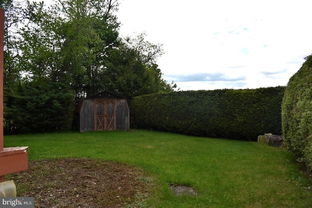 324 California Ave, Shenandoah, PA 17976 - view of green lawn featuring a shed and an outdoor structure