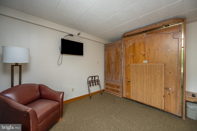 290 Marsh Hill Rd Unit 407F, Mc Henry, MD 21541 - sitting room with carpet flooring and baseboards