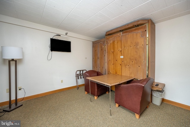 290 Marsh Hill Rd Unit 407F, Mc Henry, MD 21541 - office with carpet floors and baseboards
