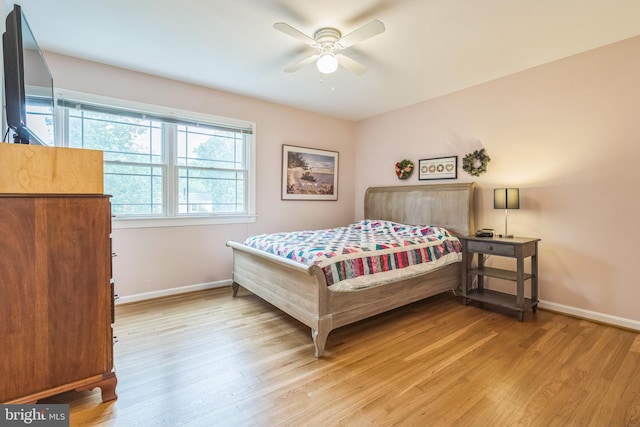 5 Kings House Ct, Silver Spring, MD 20905 - bedroom with wood finished floors and ceiling fan