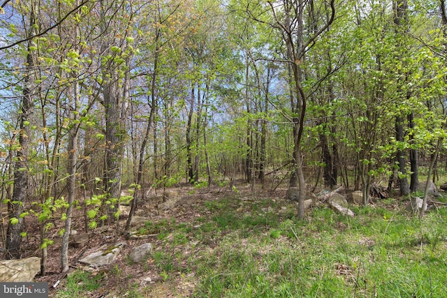 LOT62 Camp Cir, Mc Henry, MD 21541