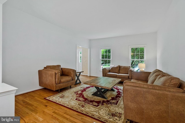 9310 Saffron Hill Ct, Manassas, VA 20110 - living room with light wood-style flooring and baseboards