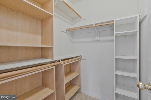 9310 Saffron Hill Ct, Manassas, VA 20110 - view of walk in closet