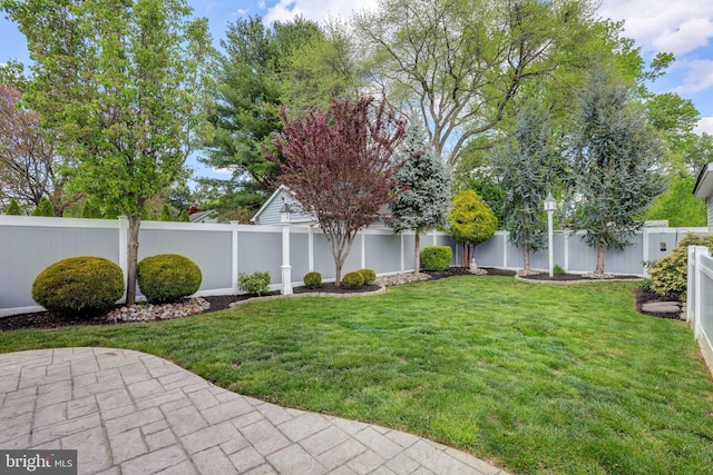 166 Grayson Ave, Hamilton, NJ 08619 - view of yard
