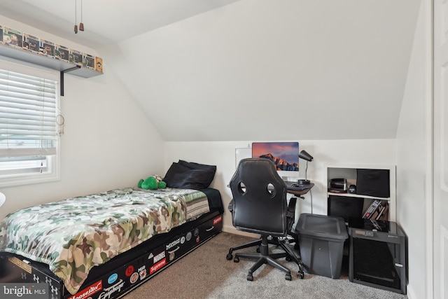 39 Village Ln, Levittown, PA 19054 - carpeted bedroom with vaulted ceiling