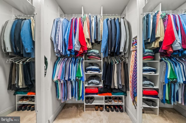 5 Craig Ln, Malvern, PA 19355 - walk in closet featuring carpet