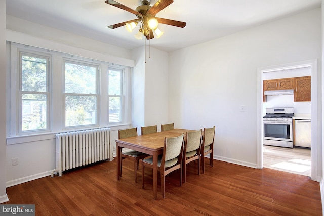 2530 18th St N, Arlington, VA 22201 - dining space with radiator heating unit, wood finished floors, ceiling fan, and baseboards