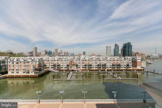 100 Harborview Dr Unit 513, Baltimore, MD 21230 - dock featuring a water view and a view of skyline