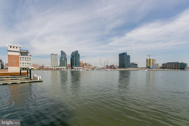 100 Harborview Dr Unit 513, Baltimore, MD 21230 - water view with a view of skyline and a dock