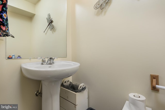 261 Osprey Ln, Hummelstown, PA 17036 - view of bathroom