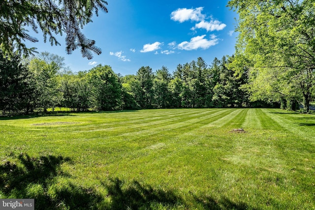 40 Hunters Run Rd, Honey Brook, PA 19344 - view of grassy yard