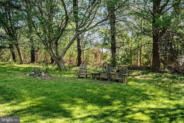 40 Hunters Run Rd, Honey Brook, PA 19344 - view of green lawn