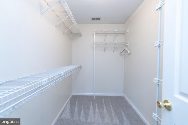 306 Canyon Rd, Winchester, VA 22602 - walk in closet featuring carpet floors