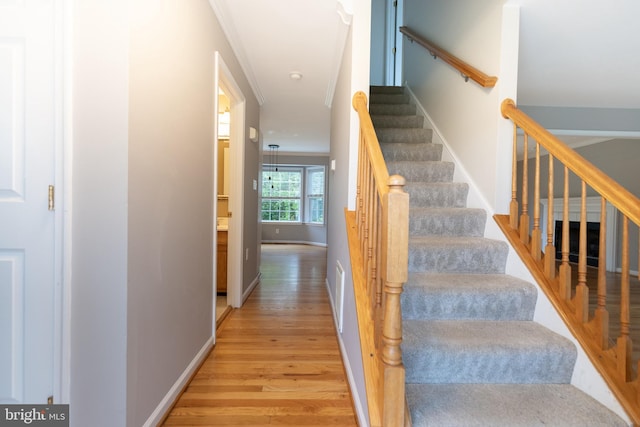 306 Canyon Rd, Winchester, VA 22602 - stairway featuring wood finished floors and baseboards