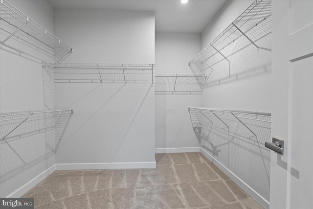 spacious closet with carpet flooring