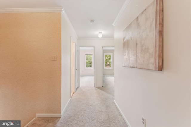 2032 Franklin Cluster Ct, Falls Church, VA 22043 - corridor featuring light colored carpet, crown molding, and baseboards