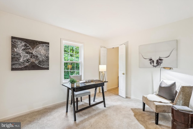 2032 Franklin Cluster Ct, Falls Church, VA 22043 - office space featuring light carpet and baseboards