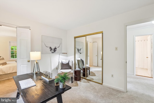 2032 Franklin Cluster Ct, Falls Church, VA 22043 - carpeted office space with baseboards