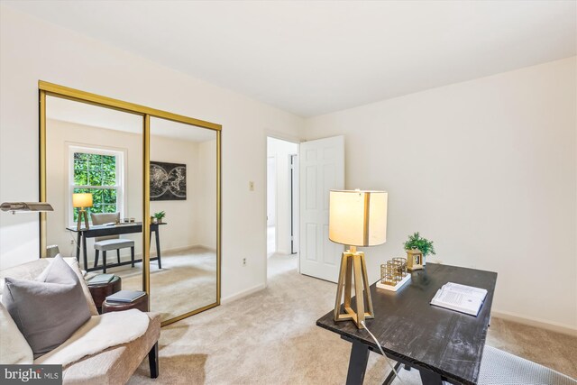 2032 Franklin Cluster Ct, Falls Church, VA 22043 - home office featuring light carpet and baseboards