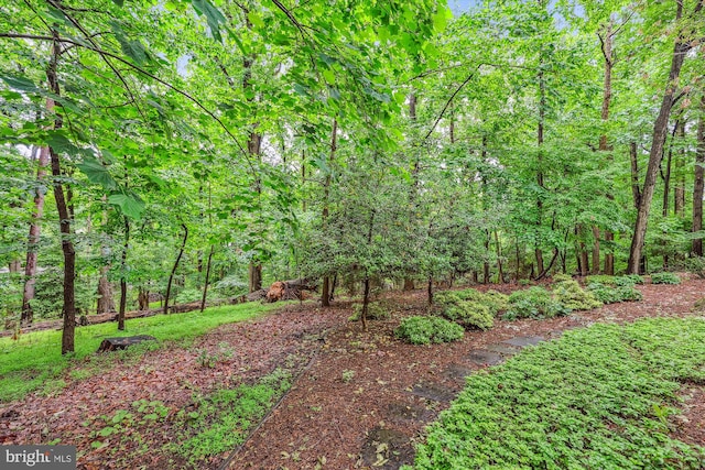 2032 Franklin Cluster Ct, Falls Church, VA 22043 - view of yard featuring a wooded view