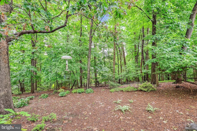2032 Franklin Cluster Ct, Falls Church, VA 22043 - view of yard with a view of trees