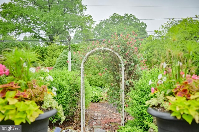 1909 Bloomingdale Ave, Lancaster, PA 17601 - view of yard