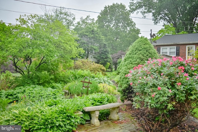 1909 Bloomingdale Ave, Lancaster, PA 17601 - view of yard