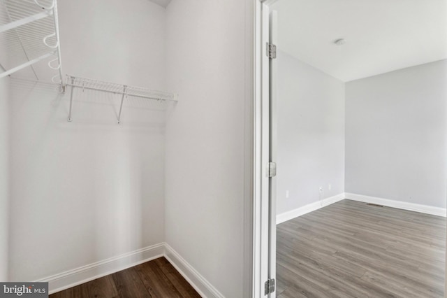 walk in closet featuring wood finished floors