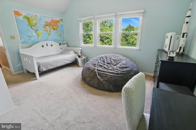 43 Shea Dr, Mohnton, PA 19540 - carpeted bedroom featuring vaulted ceiling and baseboards