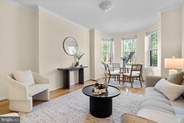 1742 U St NW Unit 101, Washington, DC 20009 - living room featuring crown molding, wood finished floors, and baseboards