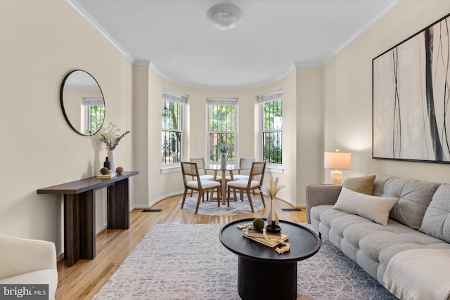 1742 U St NW Unit 101, Washington, DC 20009 - living room featuring crown molding, light wood-type flooring, and baseboards