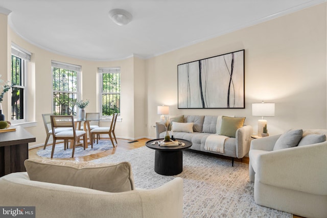 1742 U St NW Unit 101, Washington, DC 20009 - living area featuring wood finished floors, baseboards, and ornamental molding