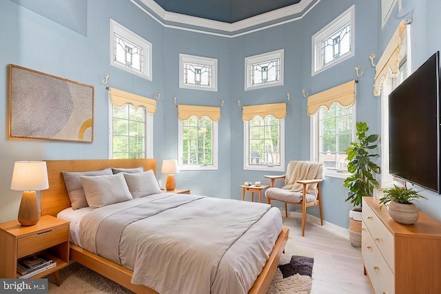 101 Port Arthur Ct, Ocean Pines, MD 21811 - bedroom featuring multiple windows, a towering ceiling, crown molding, light wood-style floors, and baseboards