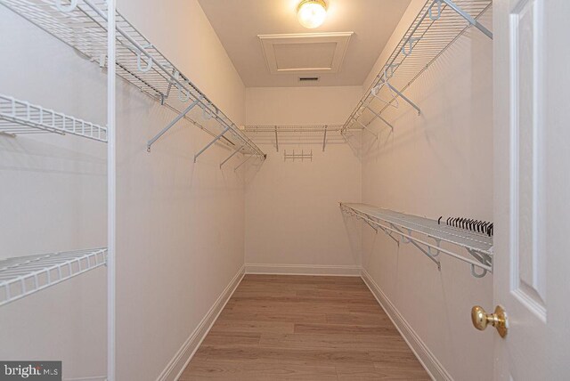 101 Port Arthur Ct, Ocean Pines, MD 21811 - walk in closet featuring light wood-type flooring