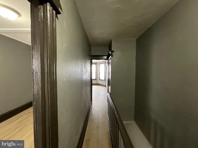 1204 Carl Miller Blvd, Camden, NJ 08104 - hall featuring wood finished floors