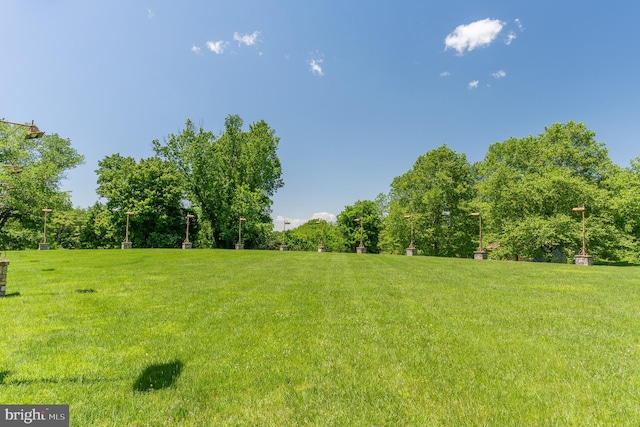 13320 Signal Tree, Potomac, MD 20854 - view of grassy yard