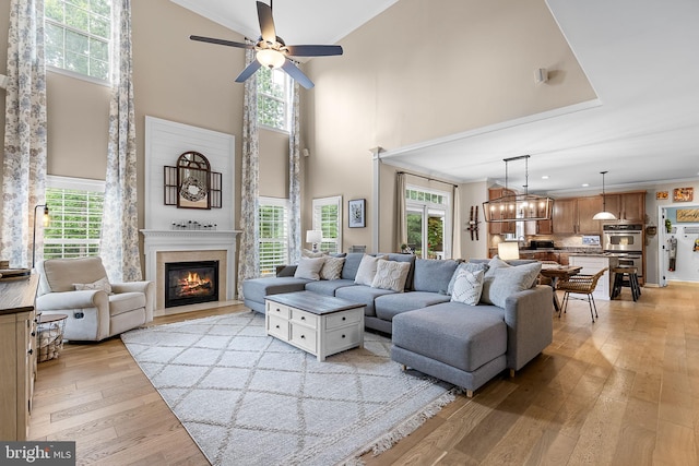4 Saint Vincent Ct, Stafford, VA 22556 - living area featuring crown molding, plenty of natural light, a ceiling fan, light wood finished floors, and a high ceiling