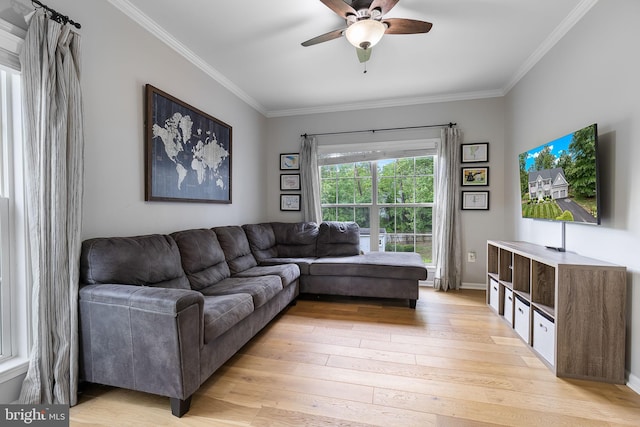 4 Saint Vincent Ct, Stafford, VA 22556 - living room with crown molding, light wood finished floors, ceiling fan, and baseboards