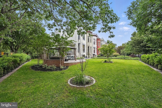 1387 N Carolina Ave NE, Washington, DC 20002 - view of property's community with a yard and a patio
