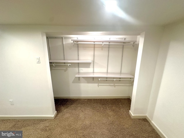 118 Hopewell St, Birdsboro, PA 19508 - view of closet