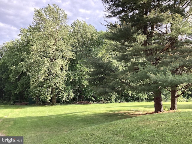 4041 Conowingo Rd, Darlington, MD 21034 - view of grassy yard