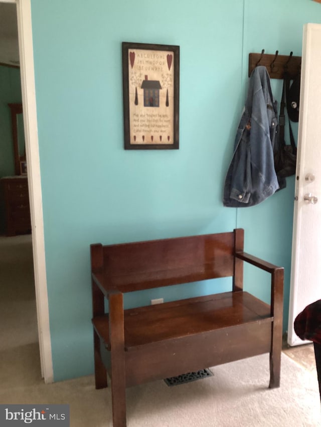 4041 Conowingo Rd, Darlington, MD 21034 - detailed view of carpet flooring