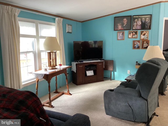 4041 Conowingo Rd, Darlington, MD 21034 - living room with carpet floors, crown molding, and vaulted ceiling