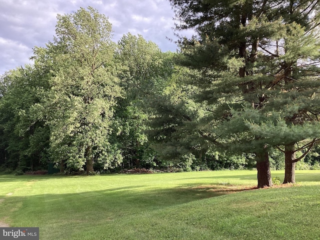 4041 Conowingo Rd, Darlington, MD 21034 - view of grassy yard
