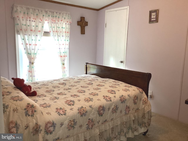 4041 Conowingo Rd, Darlington, MD 21034 - carpeted bedroom featuring ornamental molding