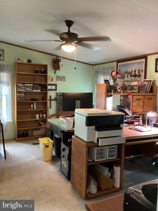 4041 Conowingo Rd, Darlington, MD 21034 - office area with crown molding, a ceiling fan, and light colored carpet