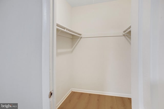 54 Austin Run Blvd, Stafford, VA 22554 - spacious closet with wood finished floors